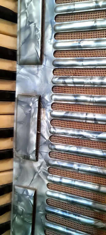 akordeon-troubadour-marka-inna