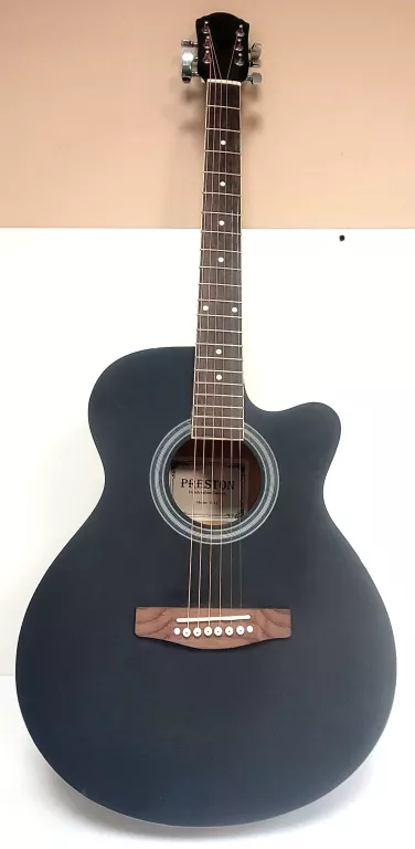 GITARA PRESTON W-12