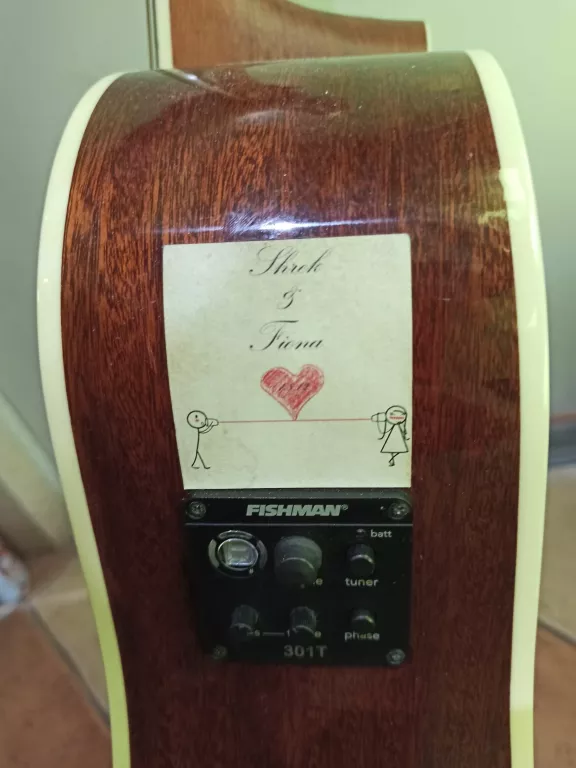 gitara-washburn-wd10sce-wersja-leworeczna