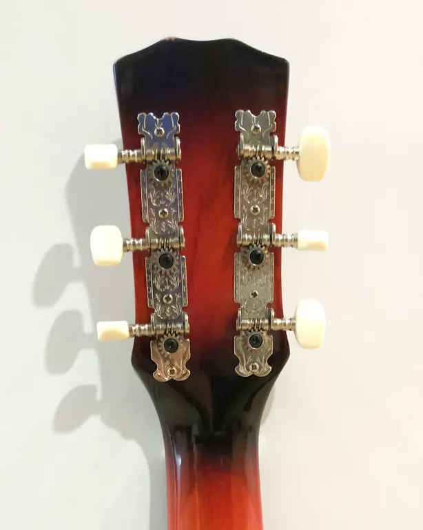 GITARA ECHO 38C, POKROWIEC