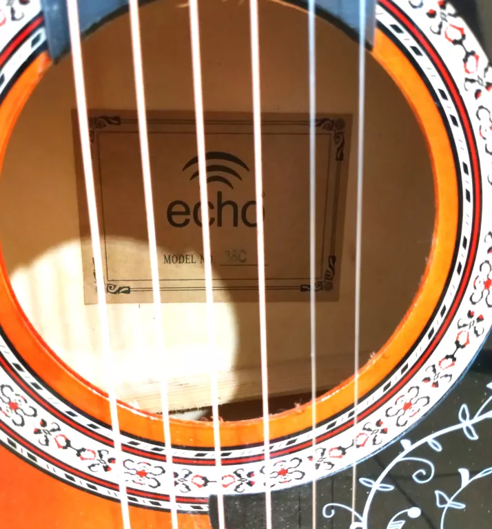 GITARA ECHO 38C, POKROWIEC