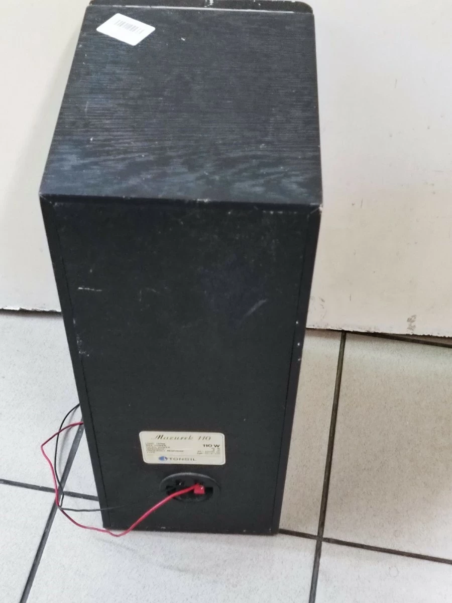 glosnik-mazurek-110-rodzaj-podlogowe