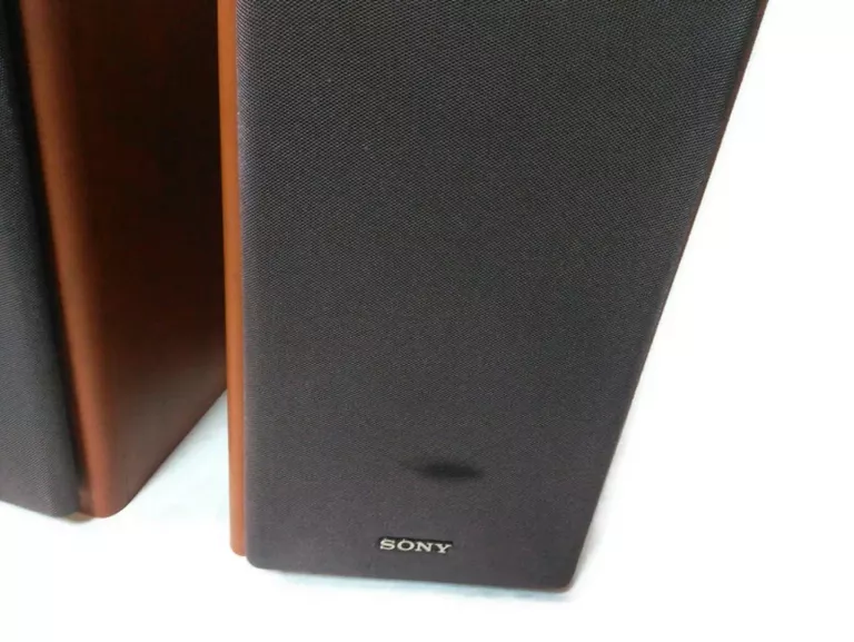 GŁOŚNIKI SONY SS-CNEZ50