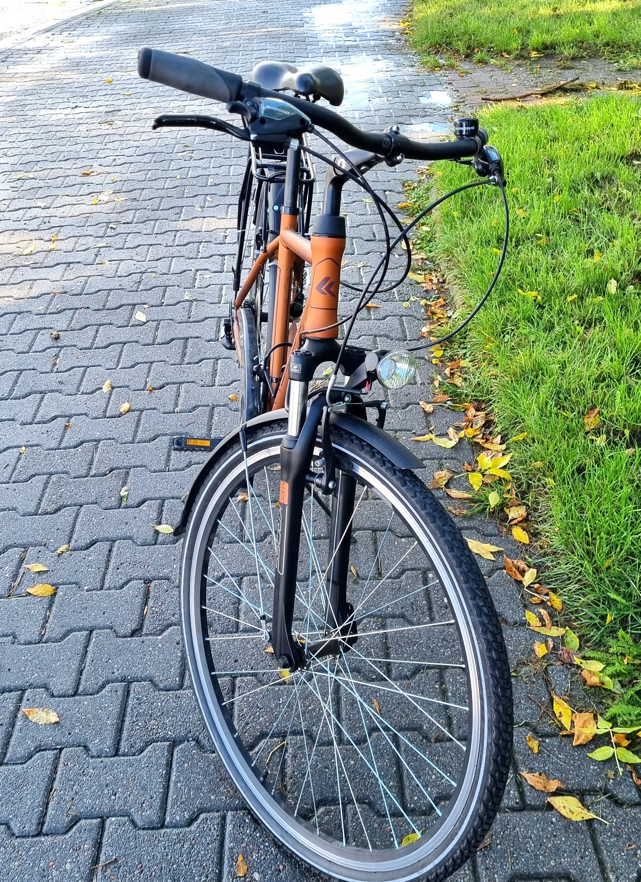 rower-kross-trans-atlantic-rama-m-kolor-inny