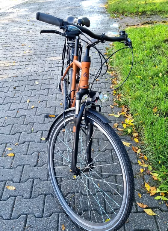 rower-kross-trans-atlantic-rama-m-kolor-inny