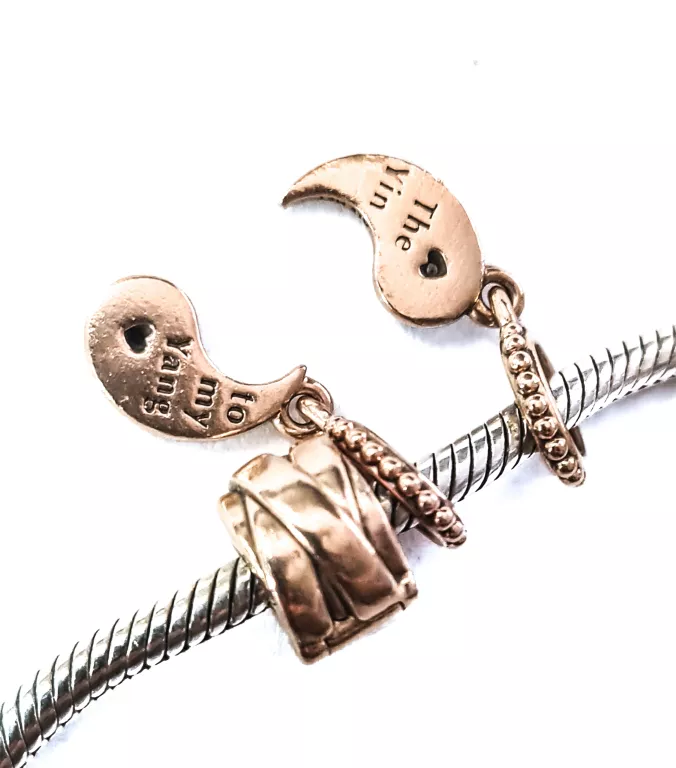 bransoleta-pandora-10-charmsow-product-id