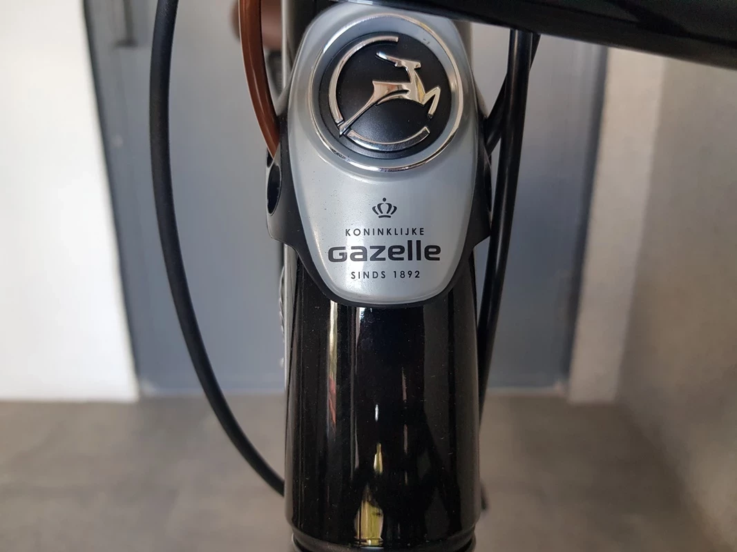 rower-elektryczny-gazelle-damka-miss-grace-model-miss-grace