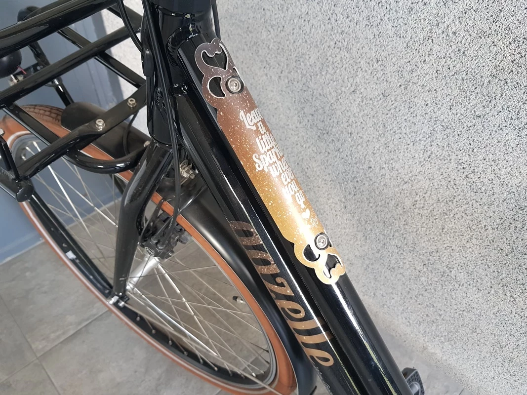 rower-elektryczny-gazelle-damka-miss-grace-wzrost