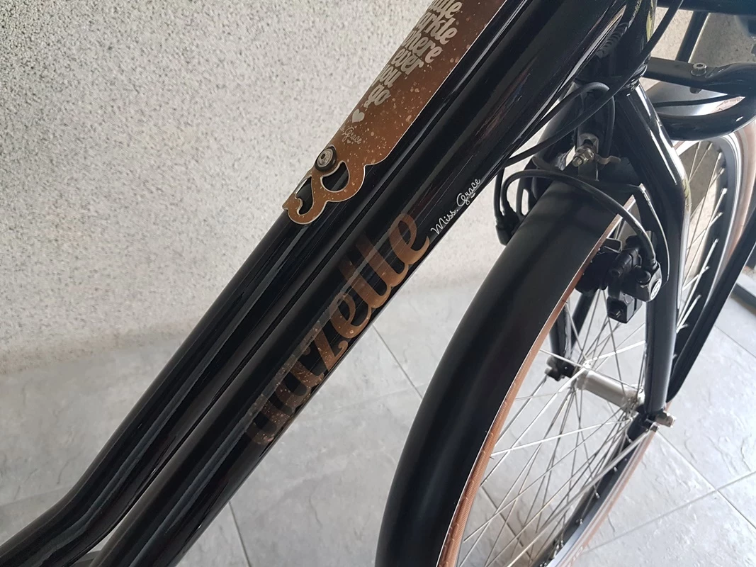 rower-elektryczny-gazelle-damka-miss-grace-moc-silnika-1