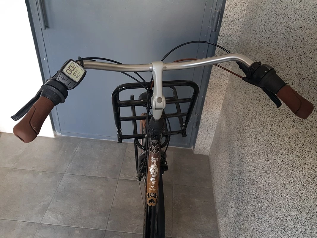 rower-elektryczny-gazelle-damka-miss-grace-marka-gazelle