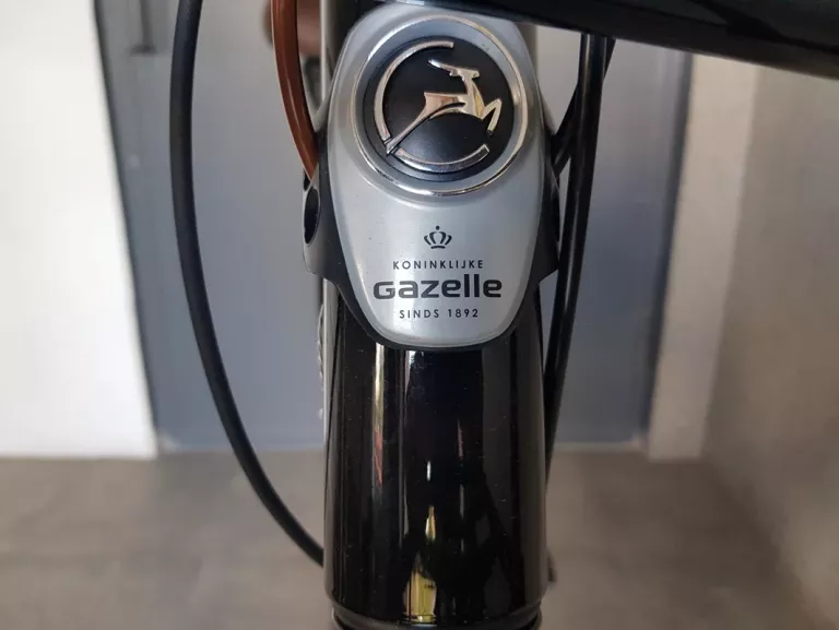 rower-elektryczny-gazelle-damka-miss-grace-model-miss-grace