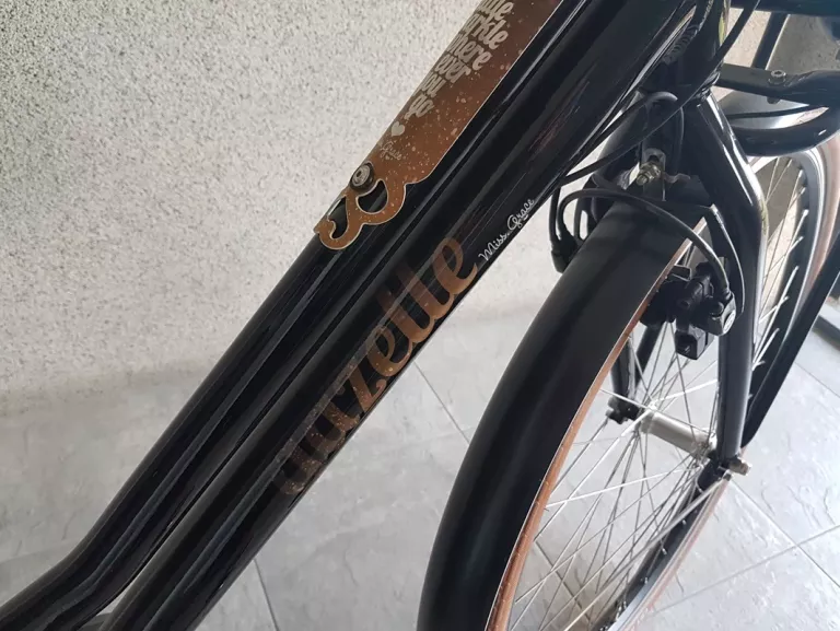 rower-elektryczny-gazelle-damka-miss-grace-moc-silnika-1