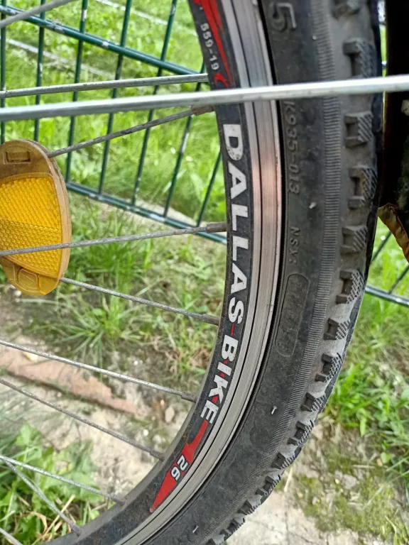 rower-damski-niebieski-kola-26-cali-plec-dziewczynka