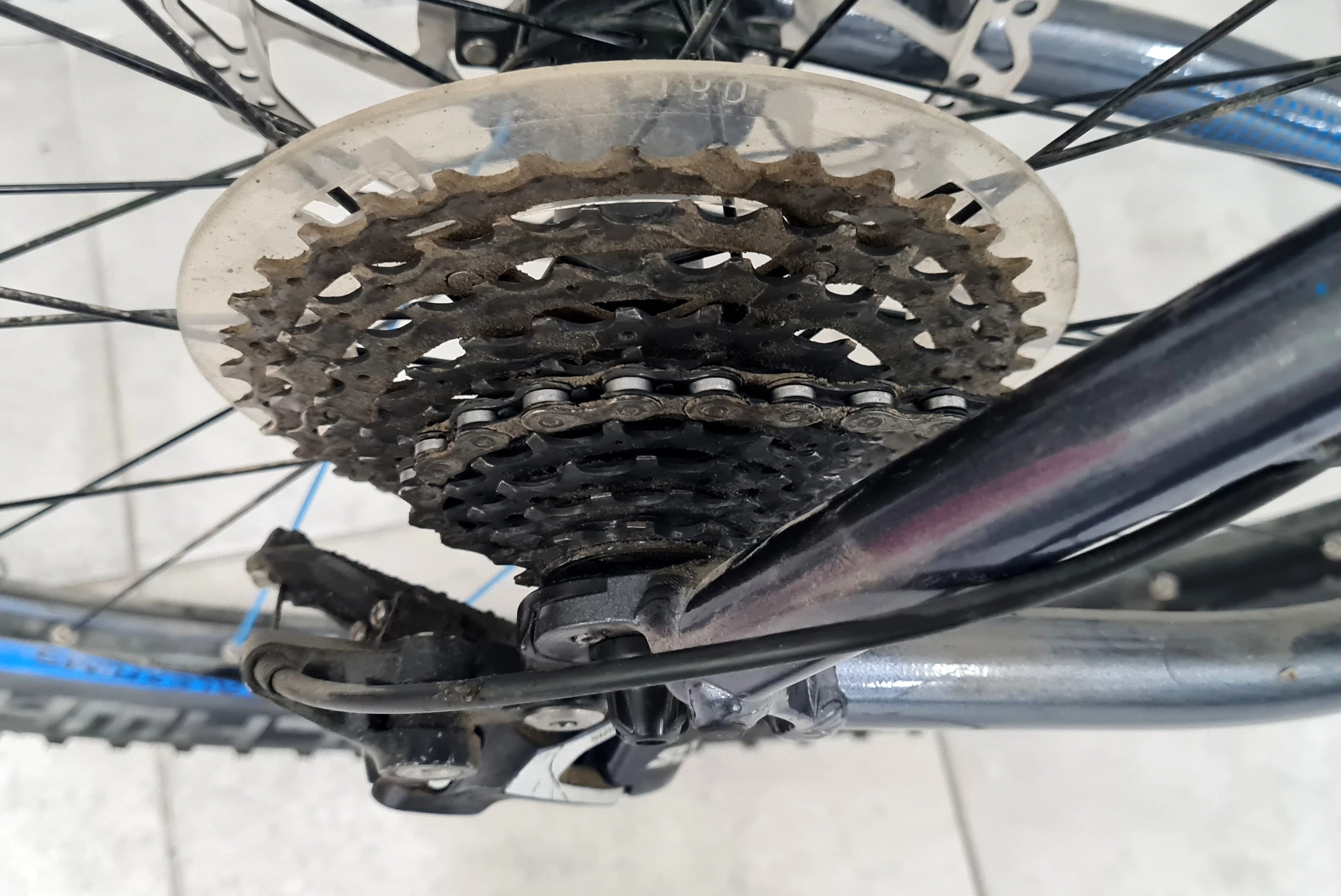 rower-centurion-backfire-pro-600-29-58cm-fv-plec-mezczyzna