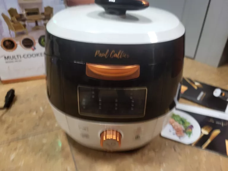 MULTI-COOKER MODEL PR-22 PAUL CALTIER