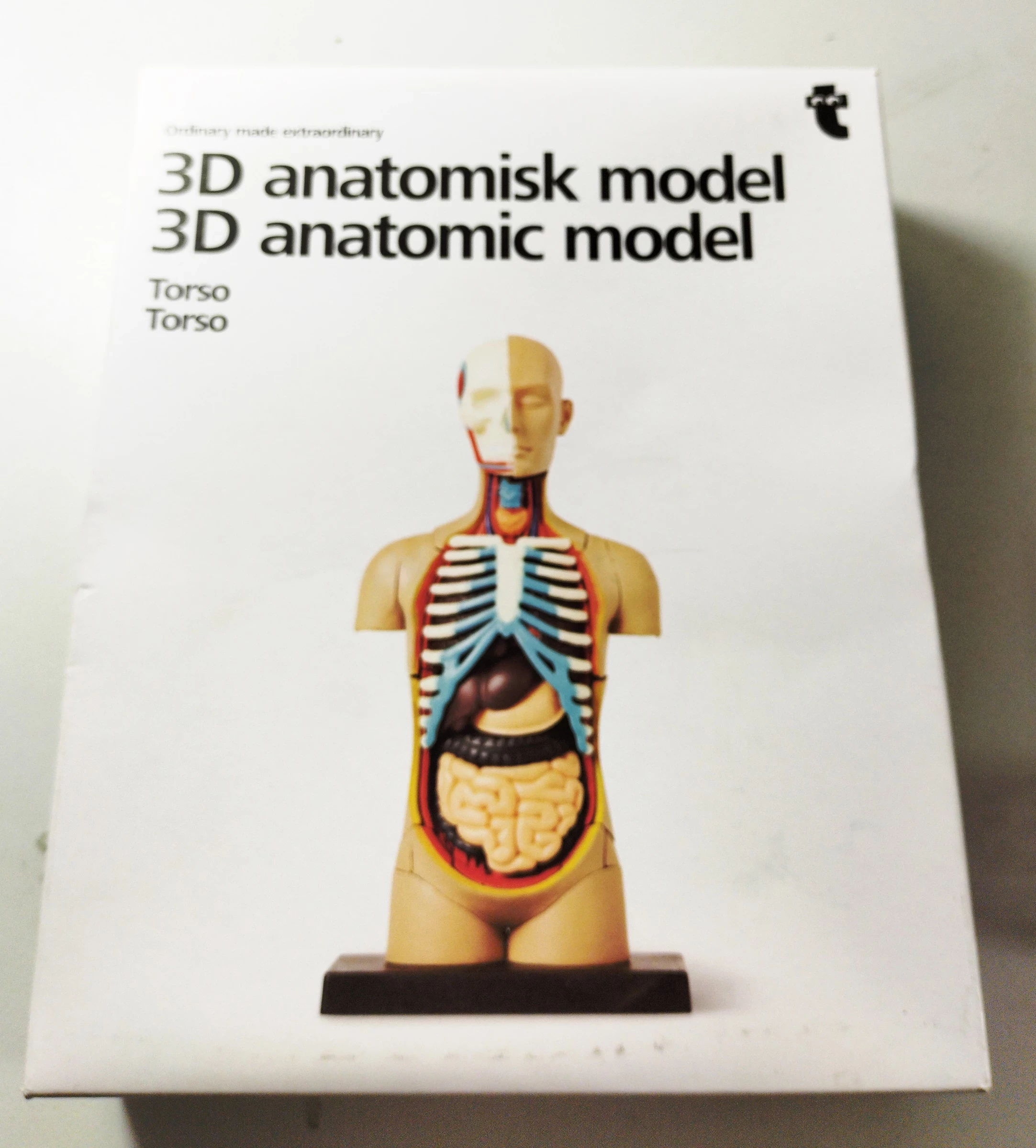 tiger-model-anatomiczny-tors-obornicka-59-sj-wroclaw