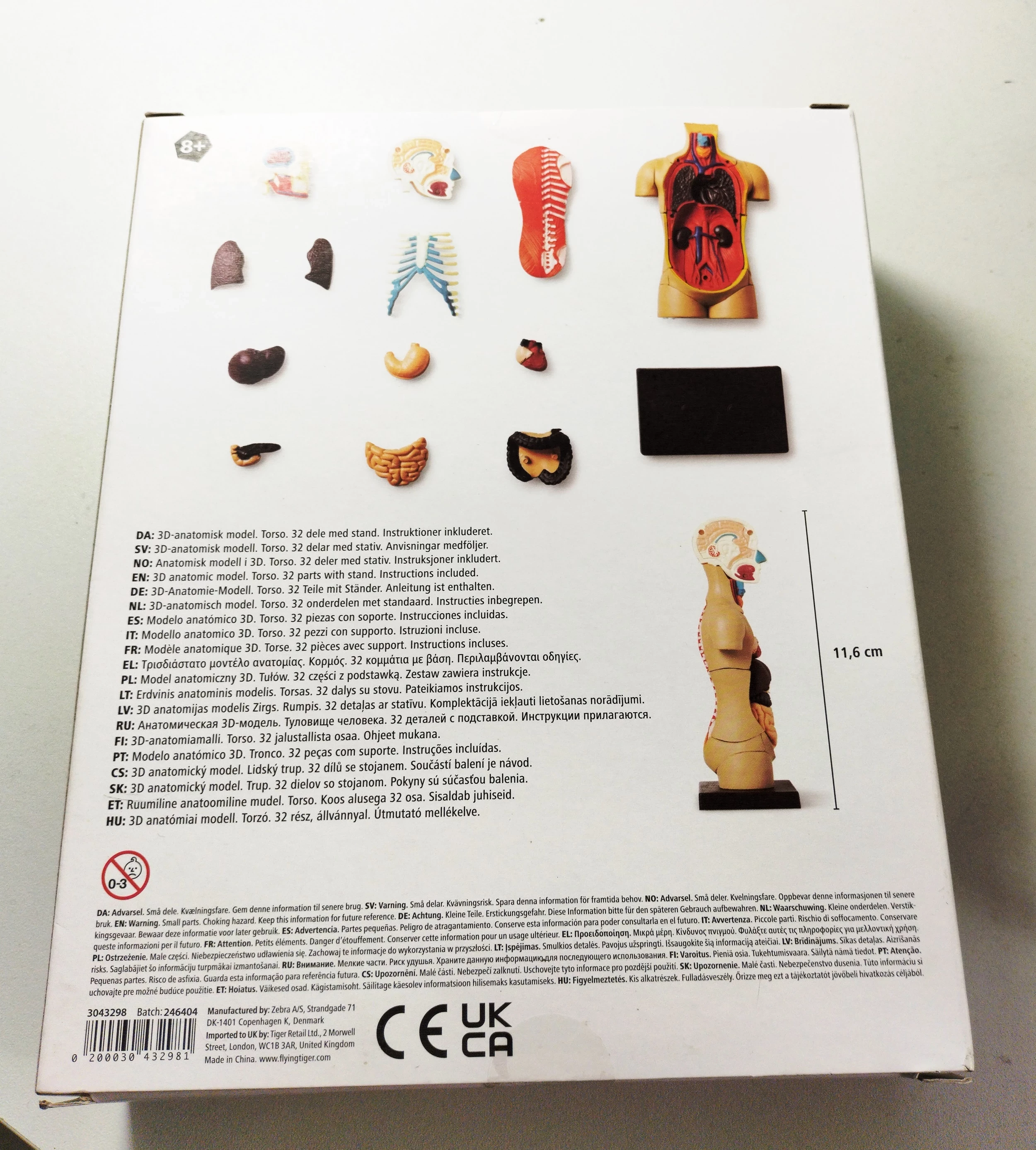 tiger-model-anatomiczny-tors-stan-uzywany