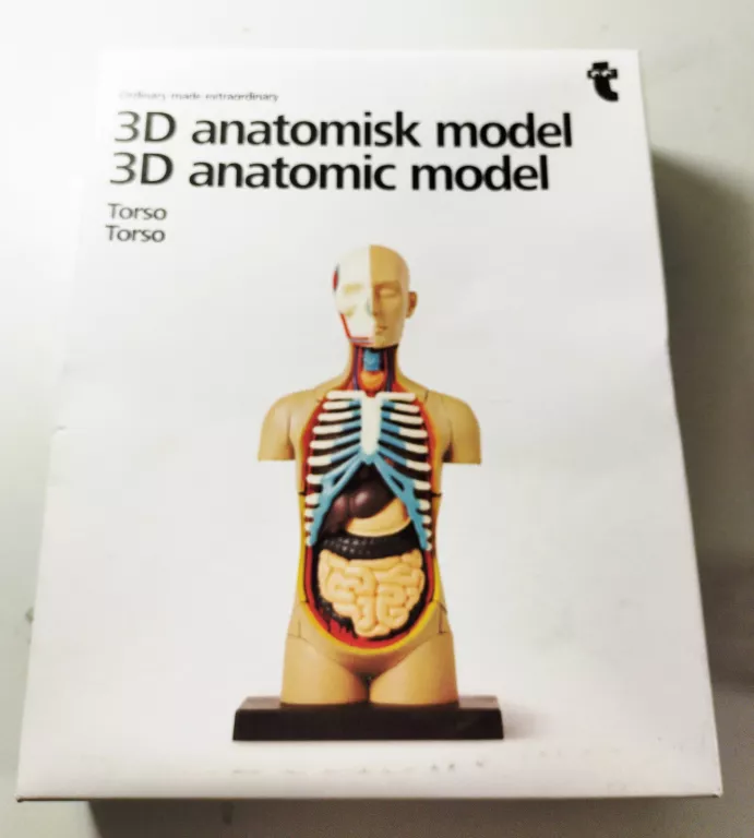 TIGER MODEL ANATOMICZNY TORS