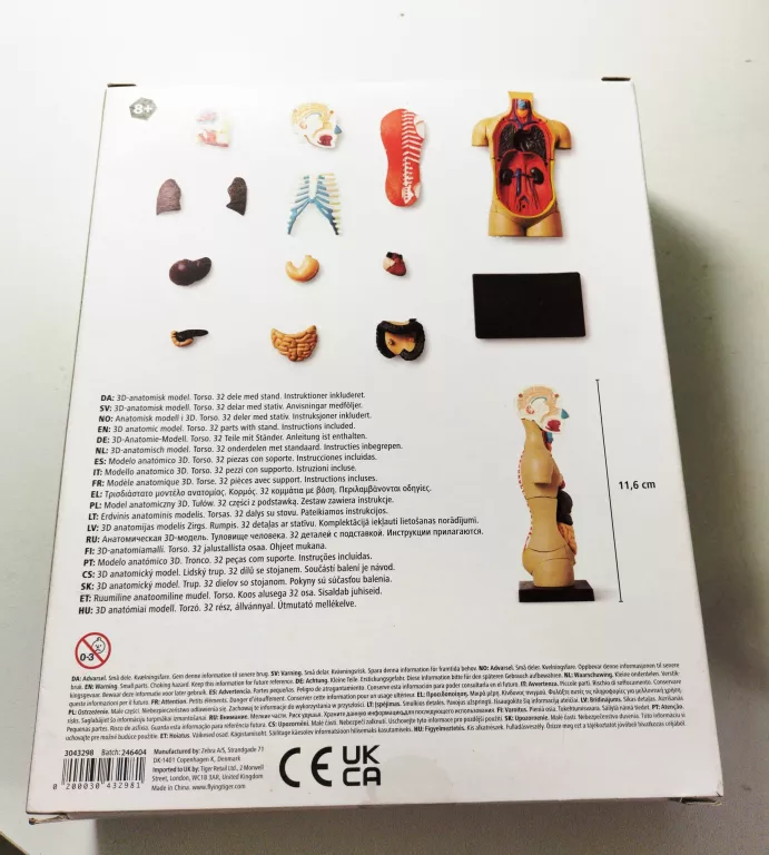 TIGER MODEL ANATOMICZNY TORS