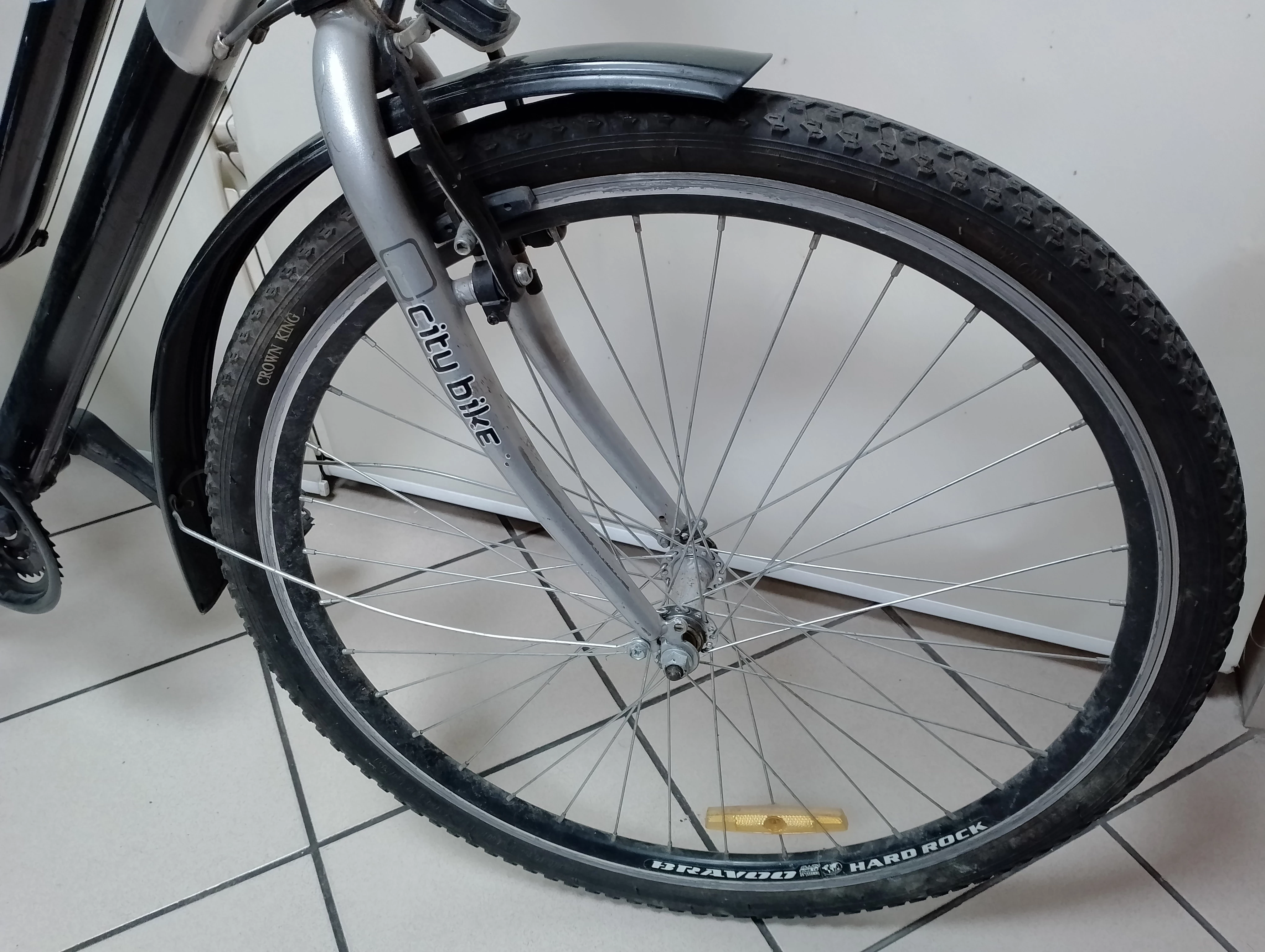 rower-rayon-luna-new-edition-city-bike-rodzaj-przerzutki-zewnetrzna