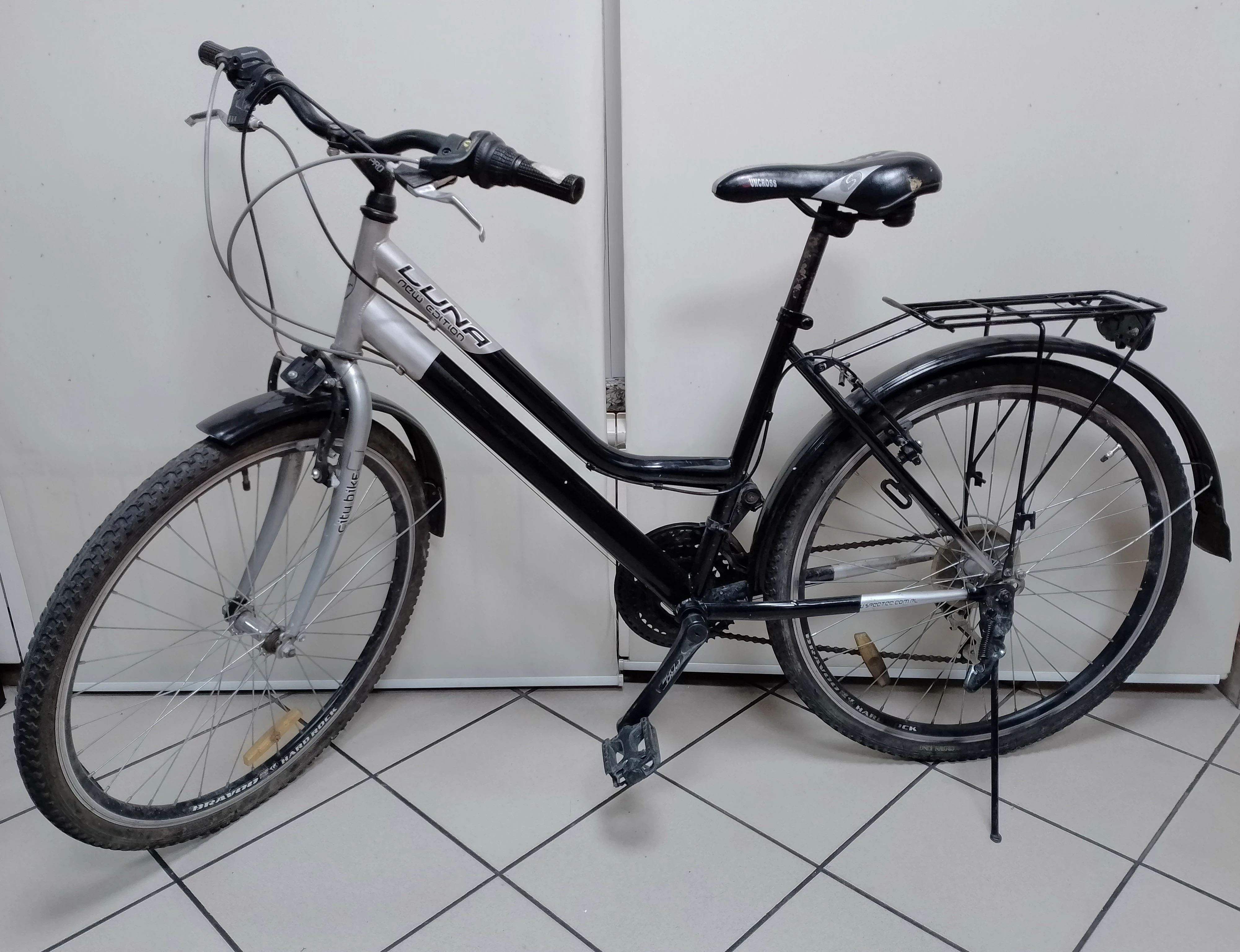 rower-rayon-luna-new-edition-city-bike-kaliska-9-pleszew