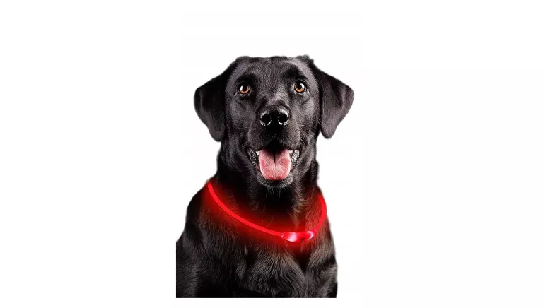 ŚWIECĄCA OBROŻA LED DLA PSA KOTA 70 CM CZERWONA