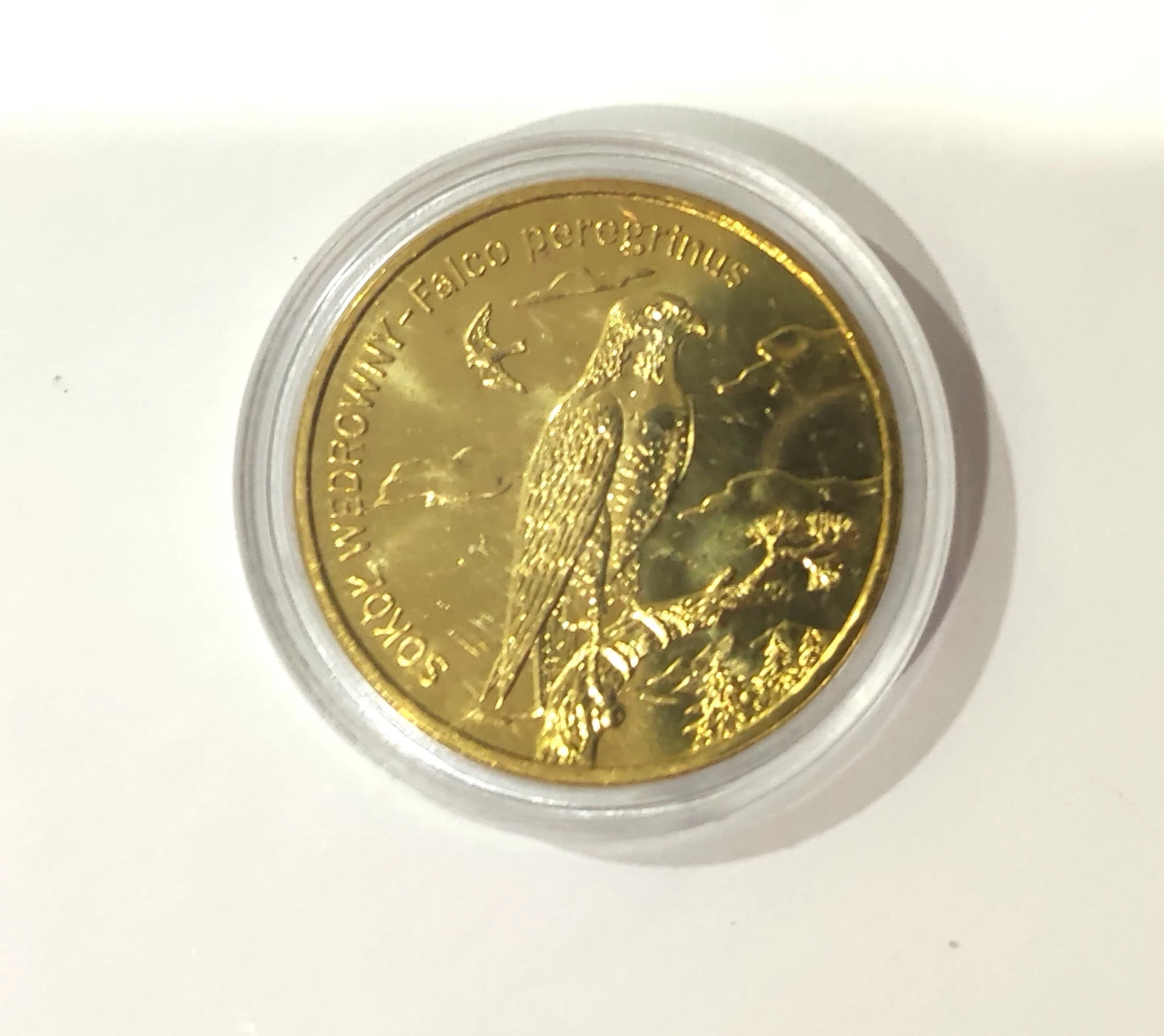 moneta-2-zl-kolekcjonerska-nominal-2-zlote