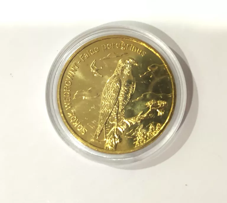 moneta-2-zl-kolekcjonerska-nominal-2-zlote