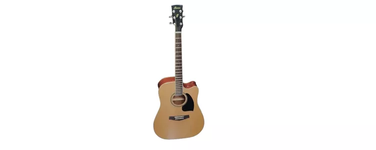 IBANEZ PF15ECE NT GITARA