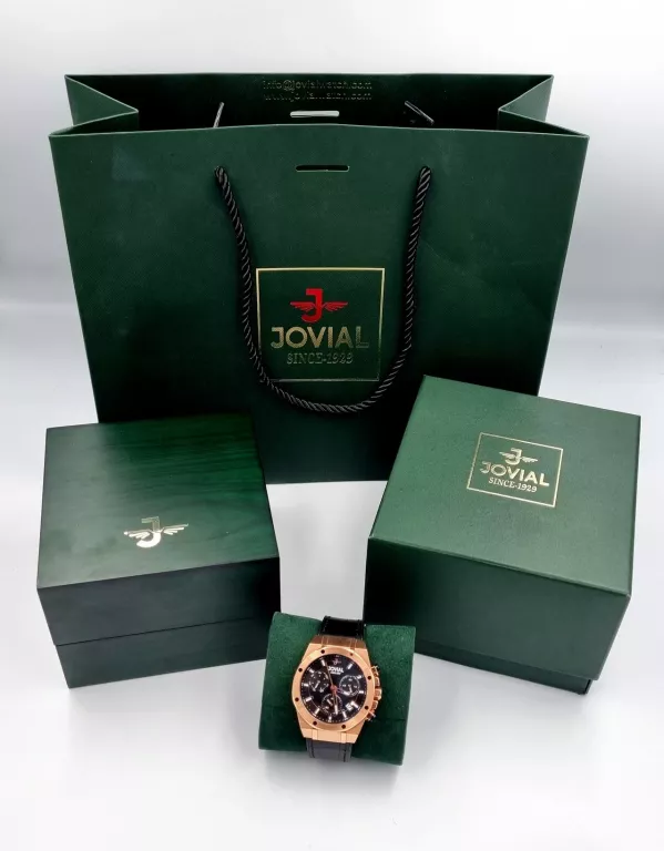 ZEGAREK MĘSKI JOVIAL 18514G