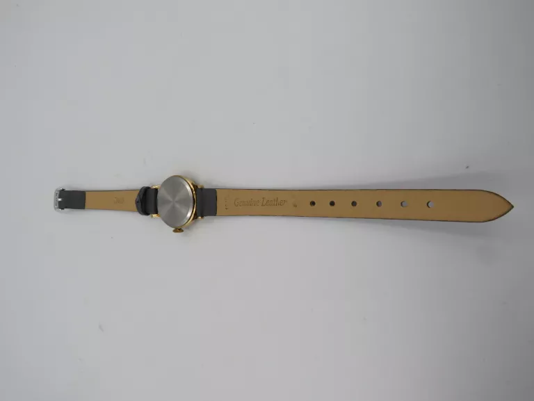 zaria-0553601-rodzaj-analogowe