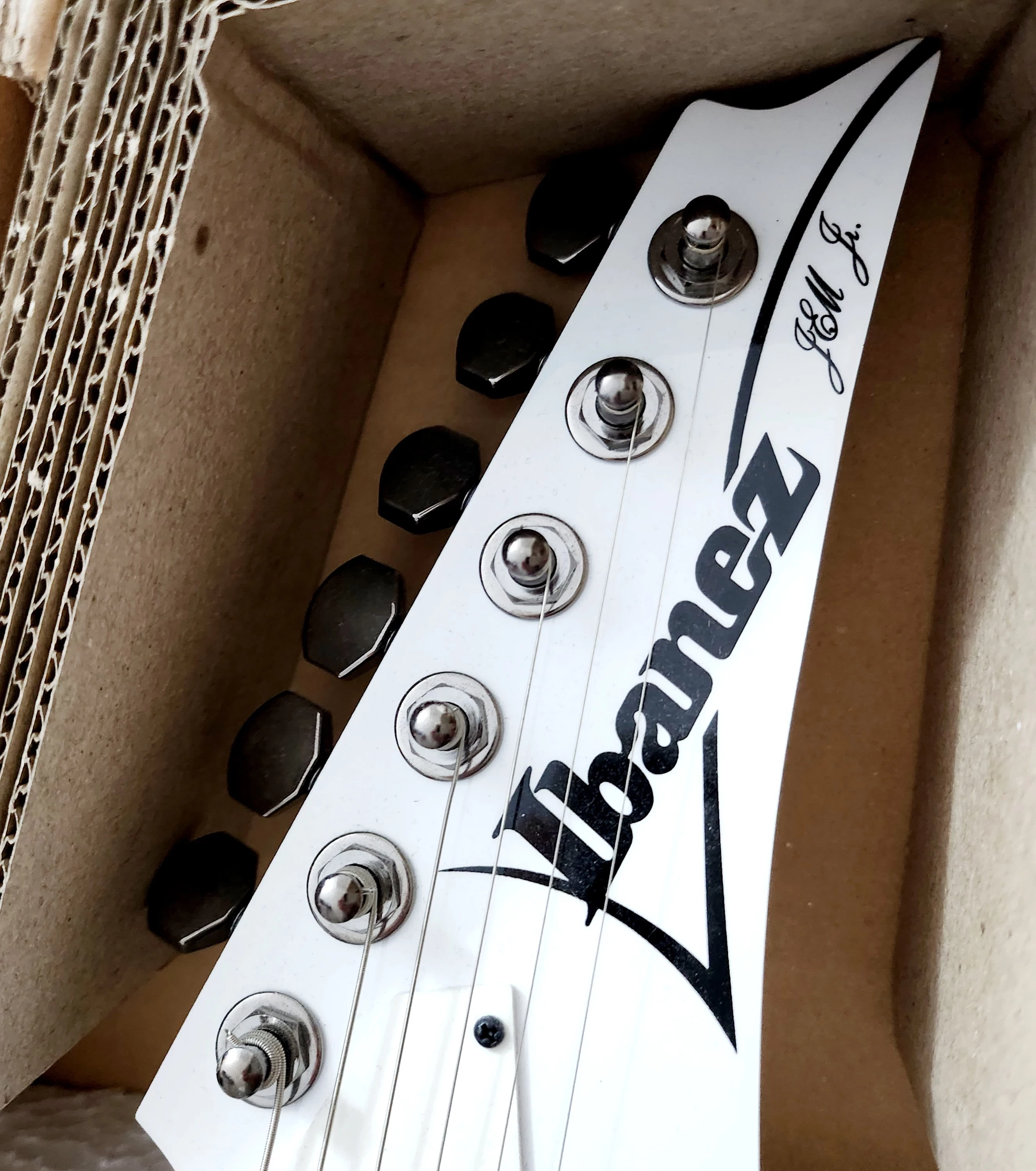 gitara-elektryczna-ibanez-jem-jr-wh-gw-130924r-product-id-c3573929-7562-4905-af2b-e857372ad72f