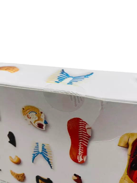 model-anatomiczny-3d-tulow-flying-tiger-rodzaj-produktu-zestaw