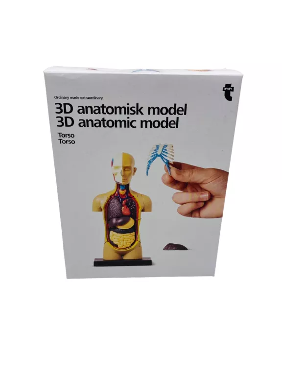 model-anatomiczny-3d-tulow-flying-tiger-opolska-10-tarnowskie-gory