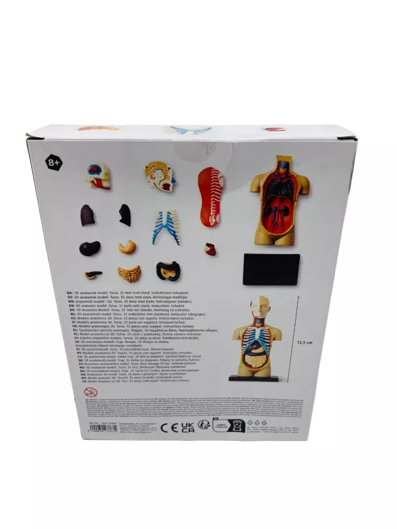 model-anatomiczny-3d-tulow-flying-tiger-stan-uzywany