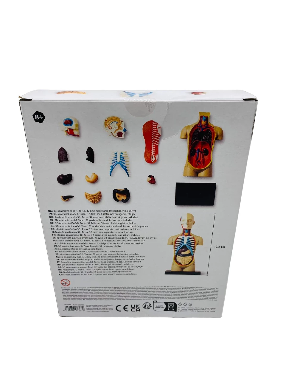 model-anatomiczny-3d-tulow-flying-tiger-stan-uzywany