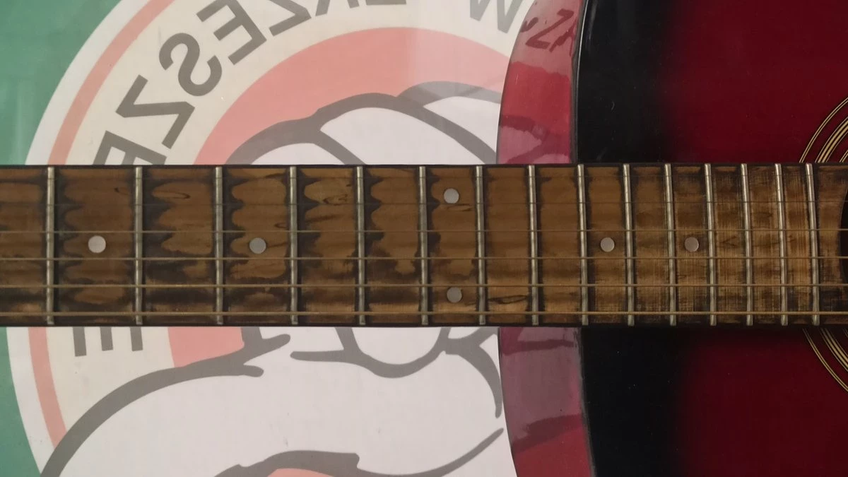 gitara-akustyczna-tenson-dreadnought-d1-ean-gtin-4046663006375