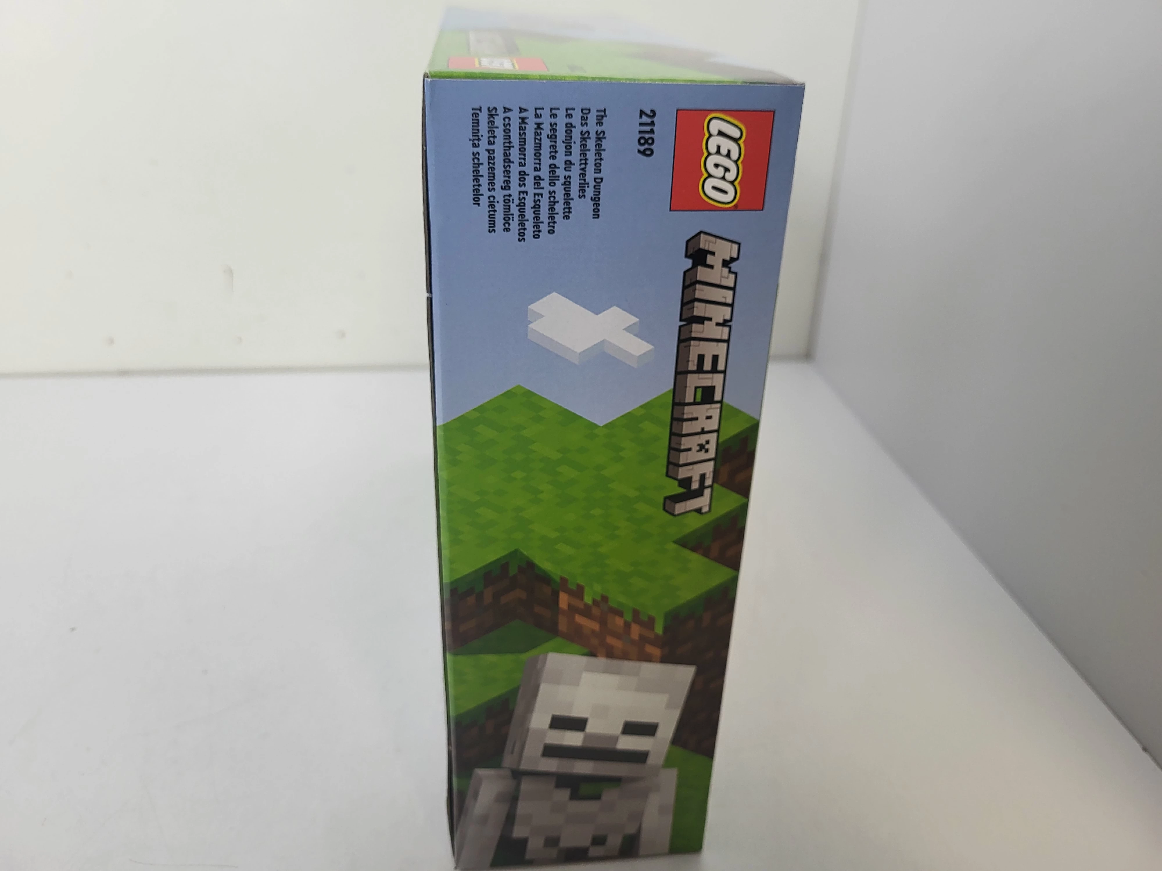 LEGO® Minecraft Le Donjon du Squelette 21189