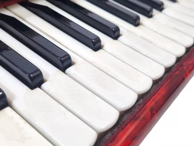 akordeon-horch-120-basow-musette-z-etui-kod-producenta-120-basow-musette