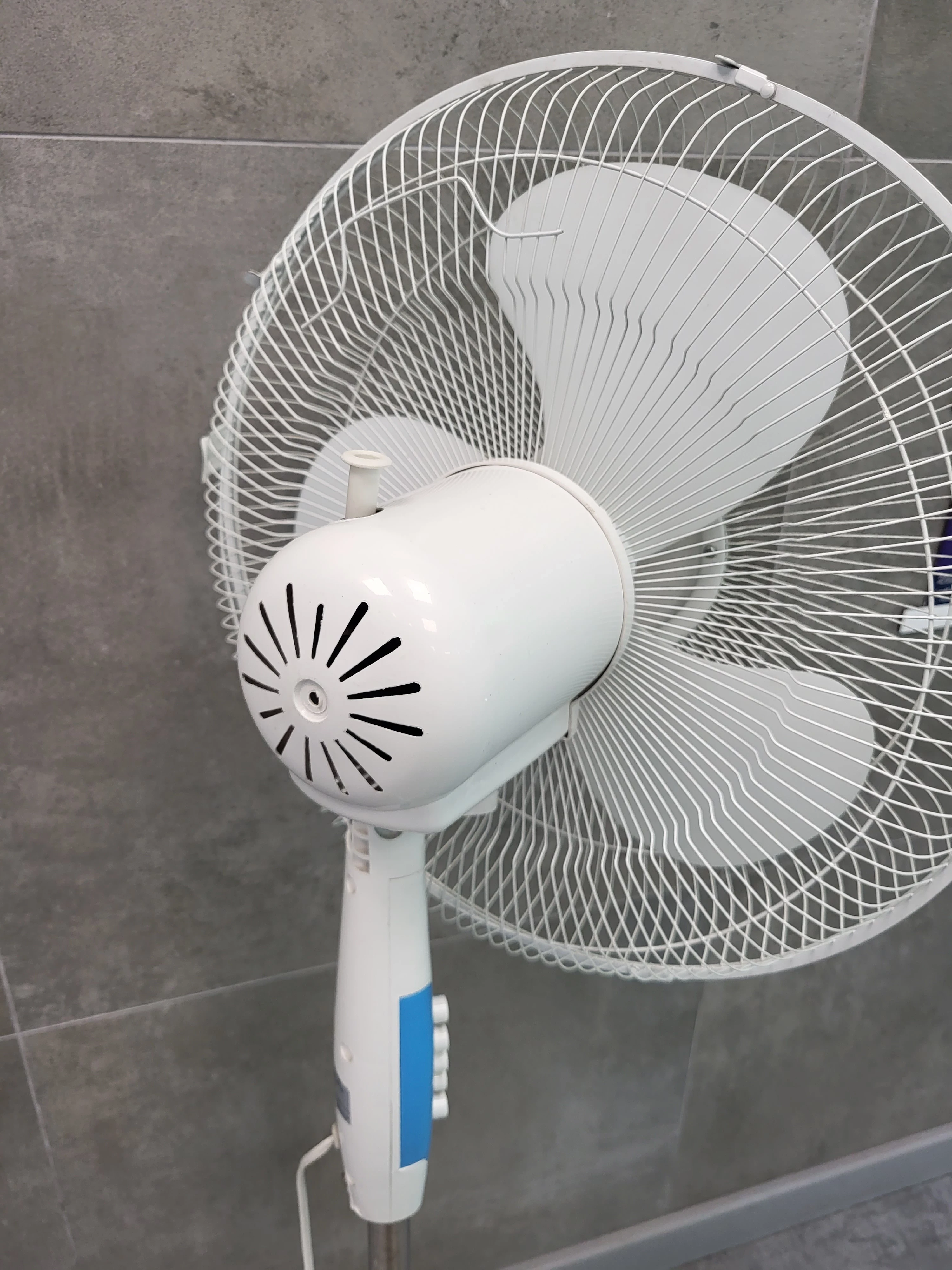 wentylator-stojacy-skan-funkcje-oscylacja