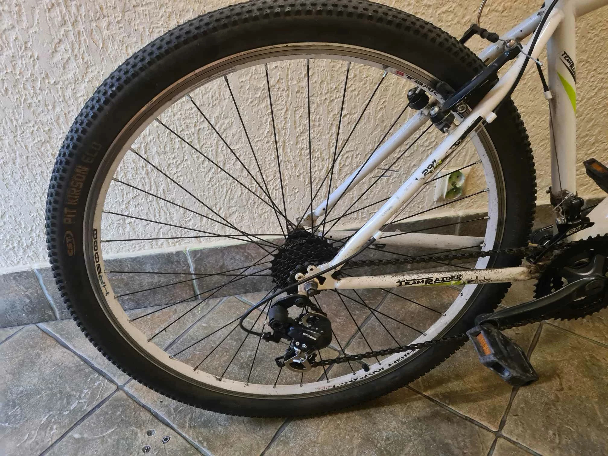 rower-team-rider-lion-29-cali-kola-rozmiar-ramy-45-cm