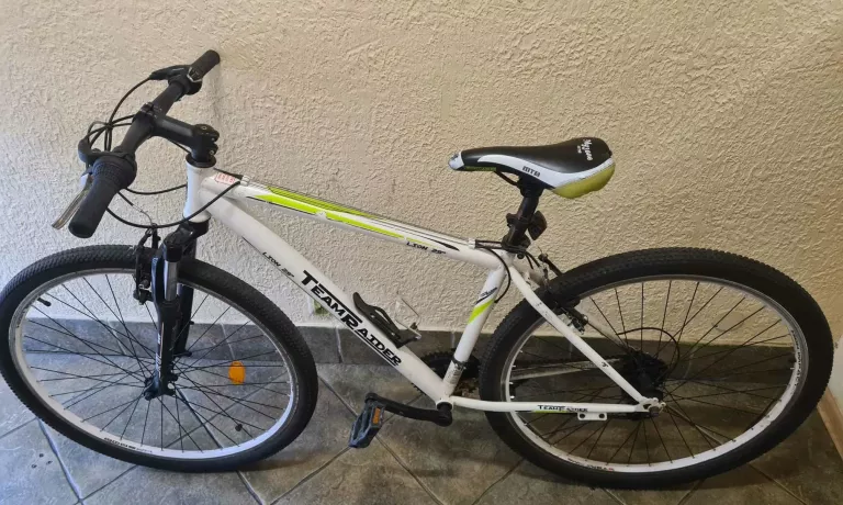 rower-team-rider-lion-29-cali-kola-ean-gtin-45124235243582