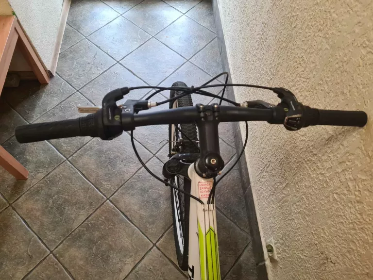 rower-team-rider-lion-29-cali-kola-model-lion