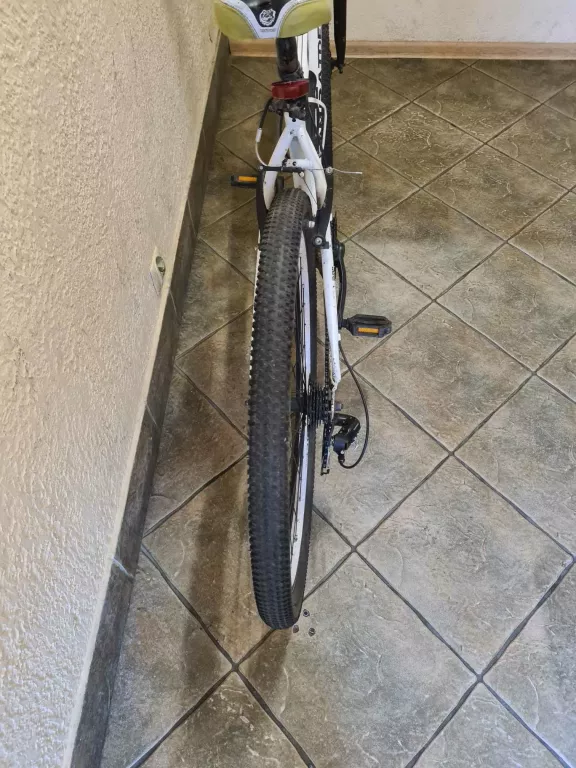 rower-team-rider-lion-29-cali-kola-rodzaj-inny