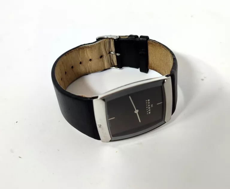 ZEGAREK SKAGEN 584LSLM 4051432763199