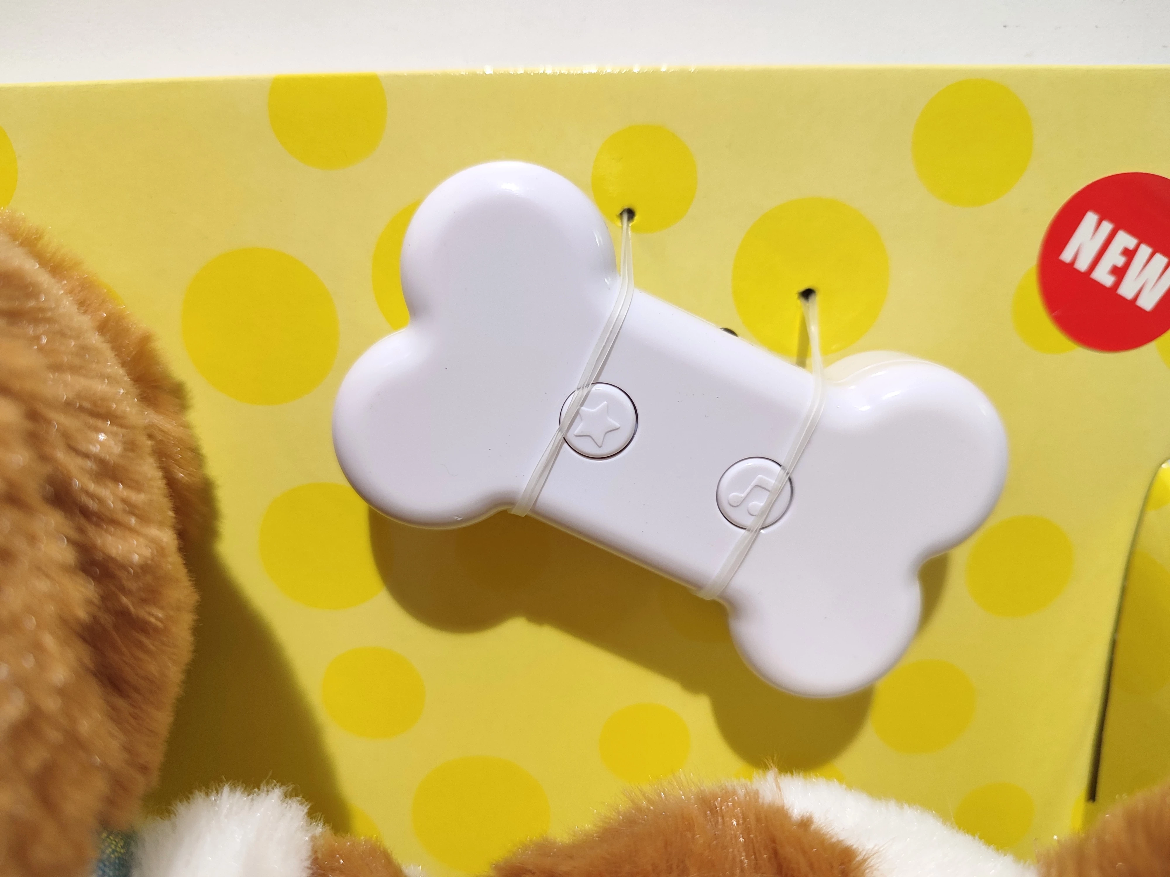 early-steps-piesek-bialo-brazowy-rc-stan-powystawowy