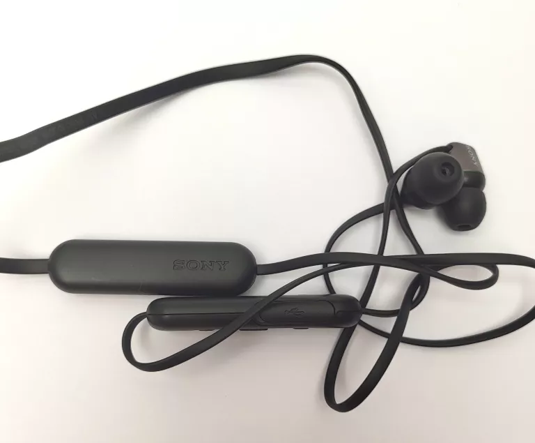 Sony wlc310 2025