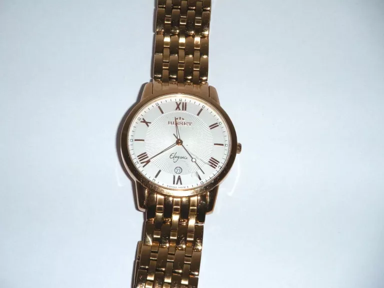 ZEGAREK BISSET BSDA99