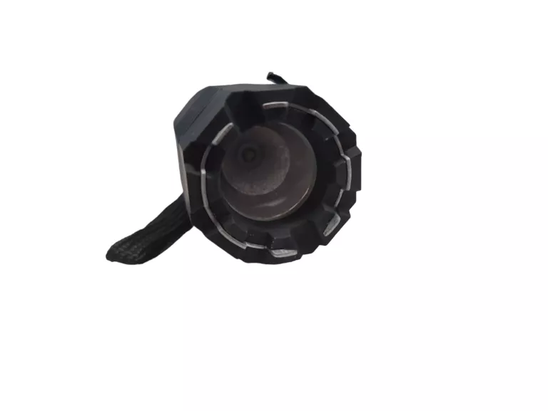 PARALIZATOR RUGER Z LATARKĄ LED 120 LM