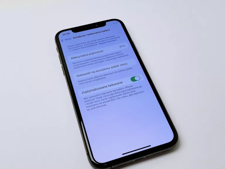 TELEFON APPLE IPHONE XS 256GB KONDYCJA 81%[BRAK FACE ID I TRUE TONE]